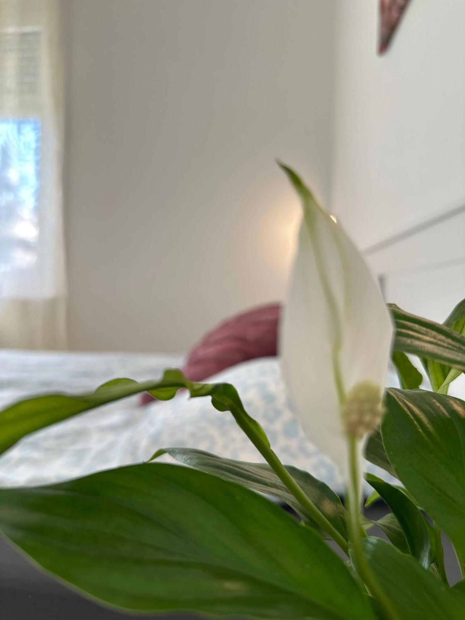 Kings Corner By Downtown Appartement *